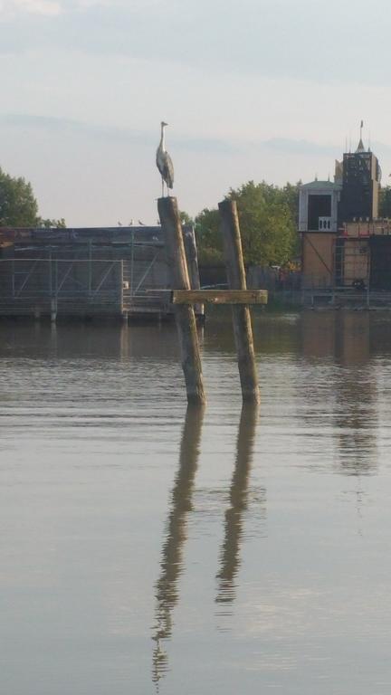 Opatment Daire Mörbisch am See Dış mekan fotoğraf